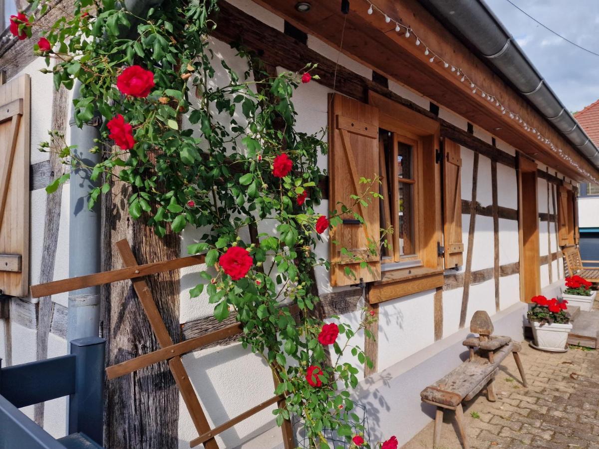 Une Maison à Colombages - Cosy, Lumineuse et Sauna Kesseldorf Exterior foto